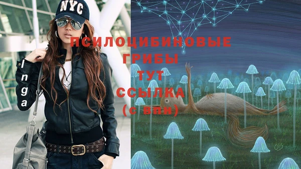 соль ск Абдулино