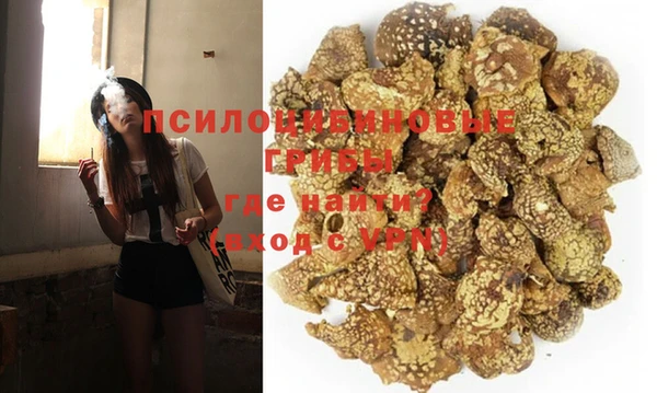 прущие грибы Покровск