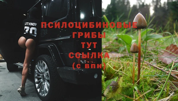 ешки Абаза