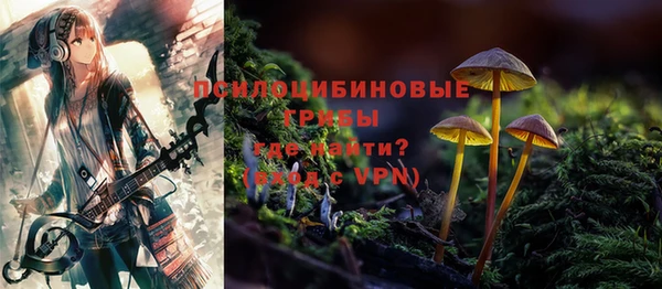 соль ск Абдулино