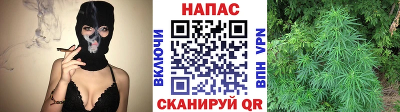 купить наркоту  Кашира  Конопля THC 21% 